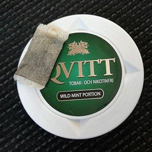 Qvitt Wild Mint image 1
