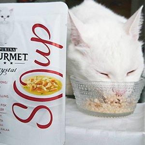 Purina Gourmet Soup image 1