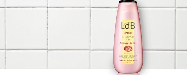 Test - Ldb Spirit shower