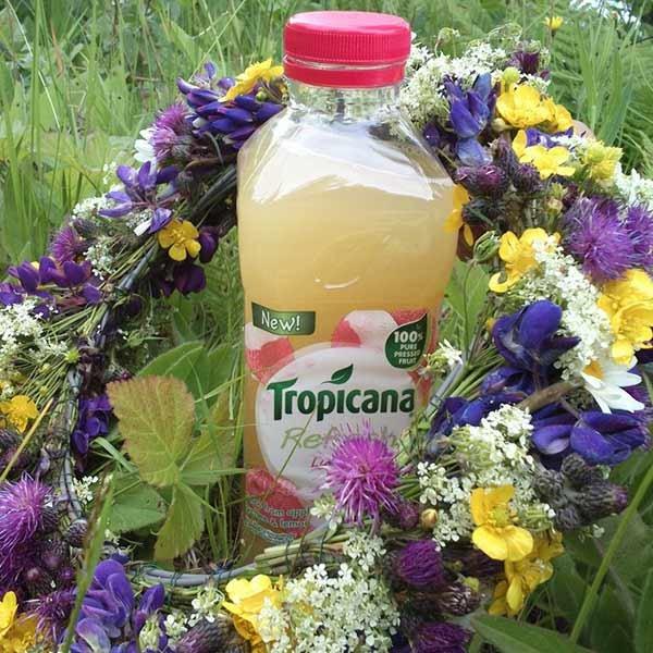Tropicana Refresh image 3