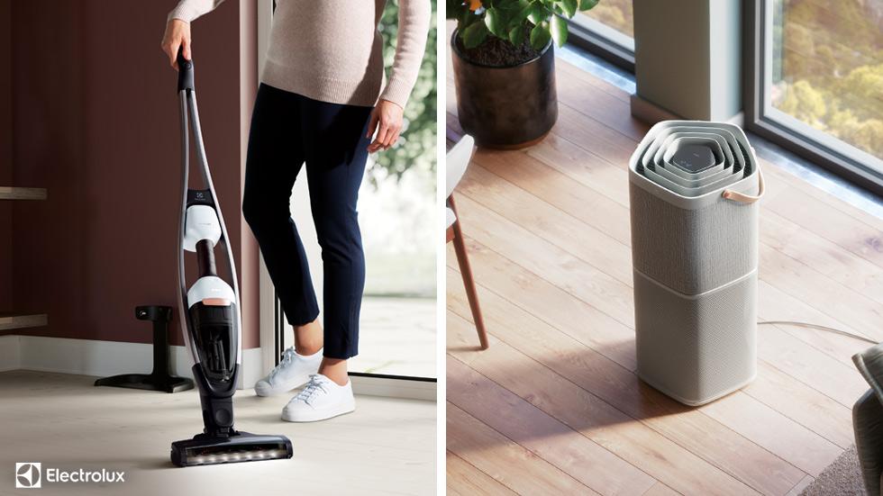 Electrolux luftrenare & skaftdammsugare