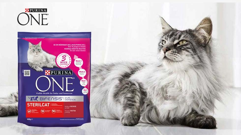 Purina ONE (2022)