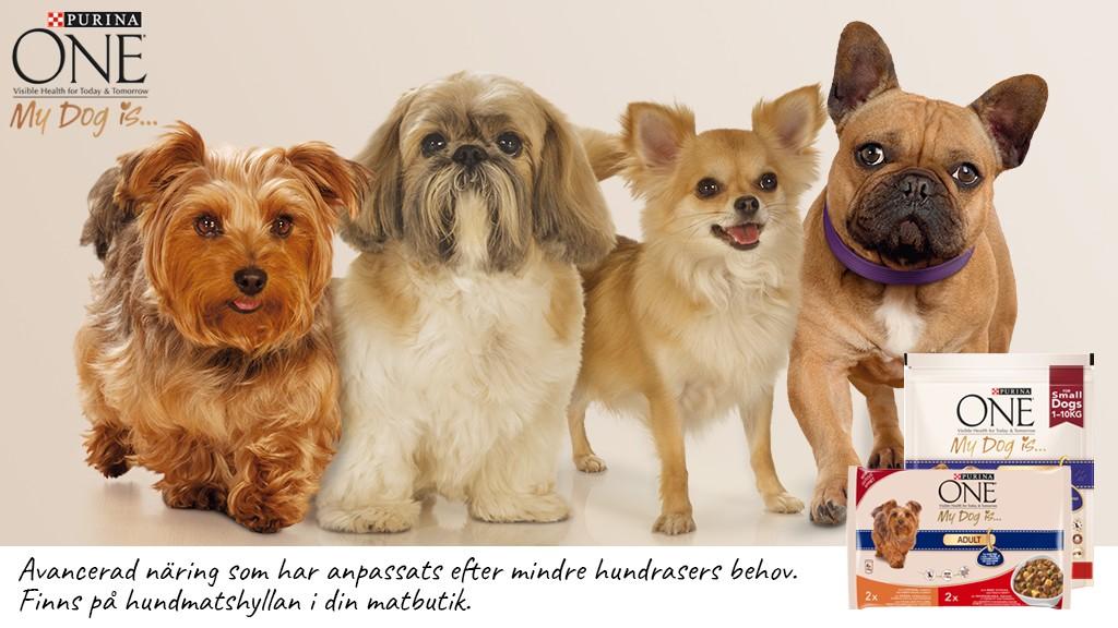 Purina ONE My Dog Is...