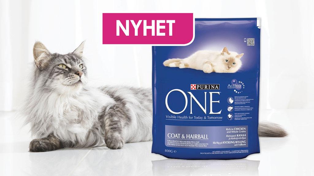 Purina ONE Coat & Hairball