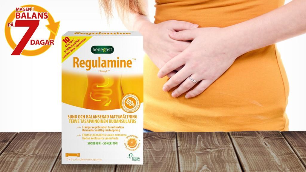 Regulamine
